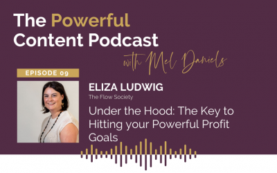 Episode 9 | Under the Hood: The Key to Hitting your Powerful Profit Goals